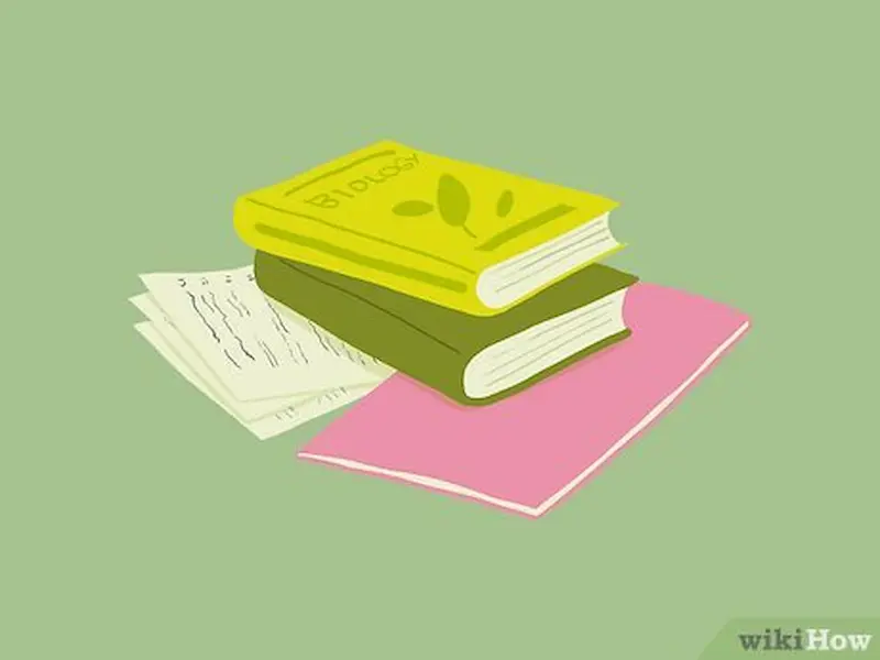 types of beginner study guides